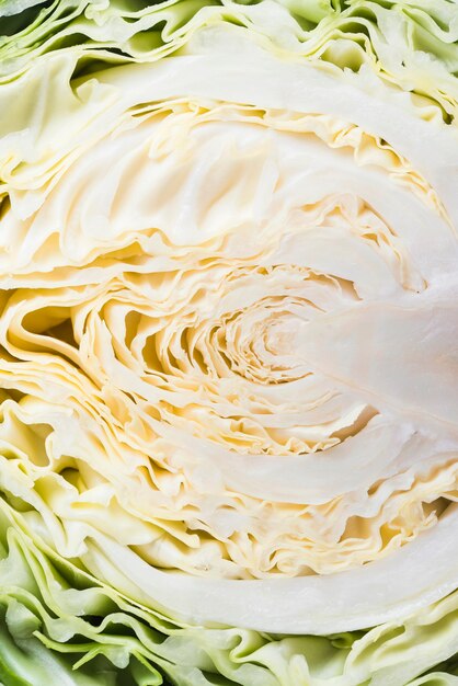 Close-up half of cabbage