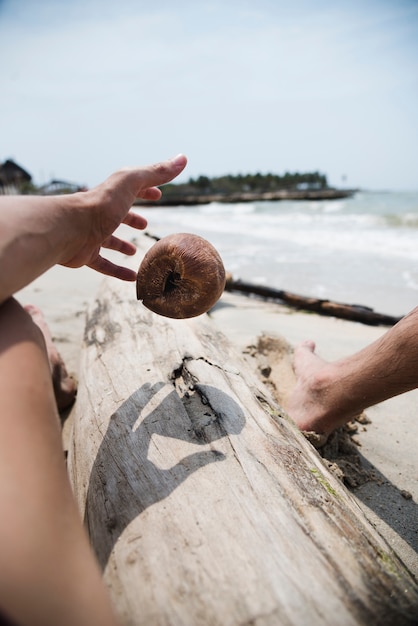 Free photo close up hand grabbing coconut