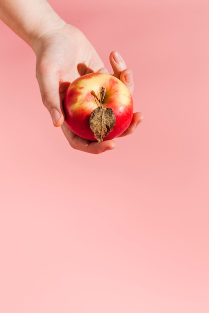 Free photo close-up hand holding apple