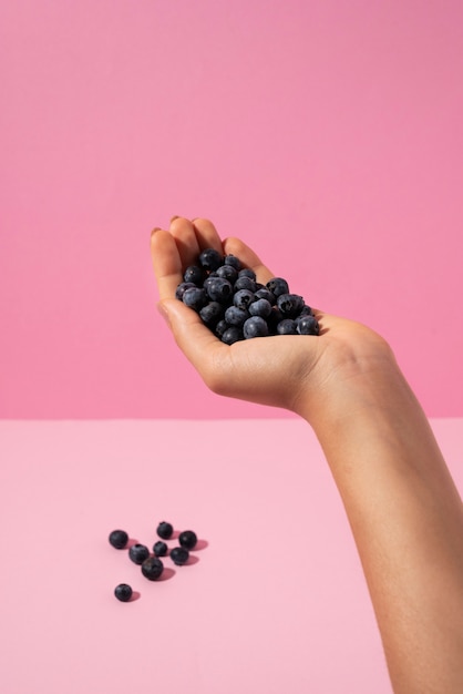 Free photo close up hand holding blueberries