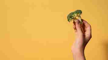 Бесплатное фото Крупным планом рука брокколи