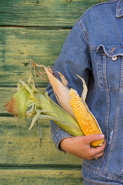 Free photo close-up hand holding corn