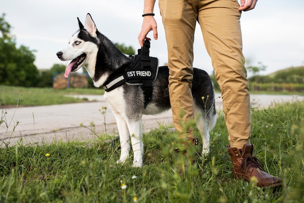 犬の鎖を持っている手を閉じる