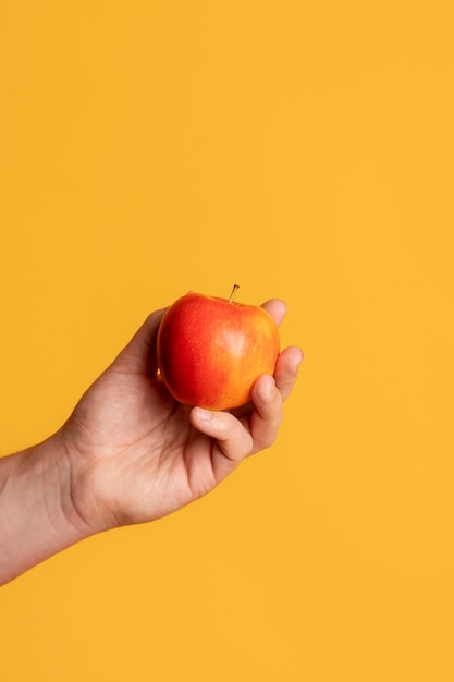 Close up on hand holding food