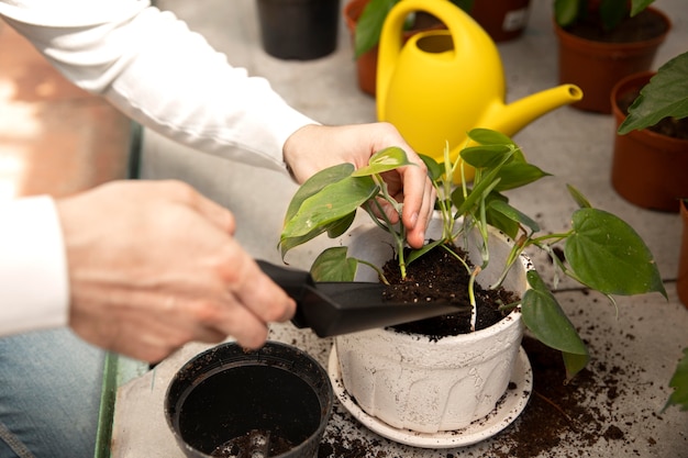 Close up hand holding gardening tool