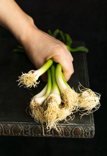 Close up hand holding green onions