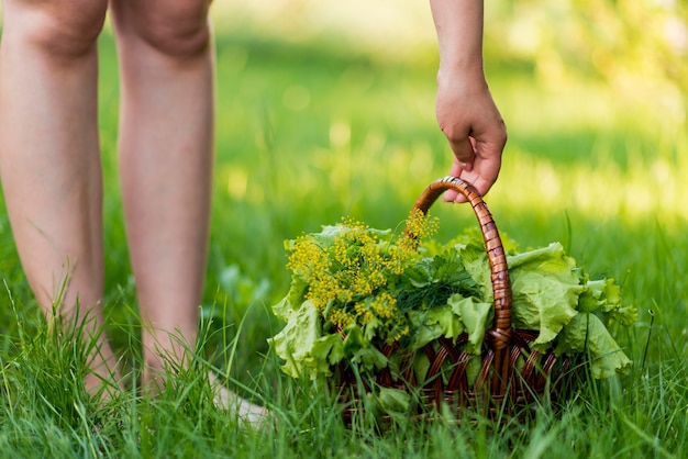 Free photo close-up hand holding lettuce basket