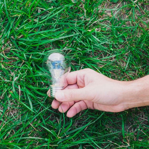 Крупным планом рука, держащая лампочку на зеленой траве