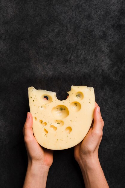 Close-up of hand holding maasdam cheese against black textured backdrop