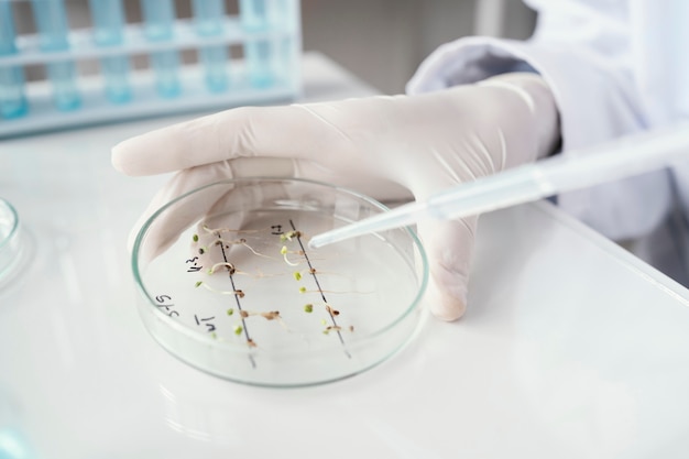 Close up hand holding petri dish