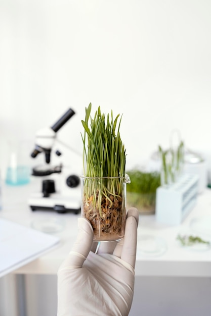 Free photo close up hand holding plant in cup