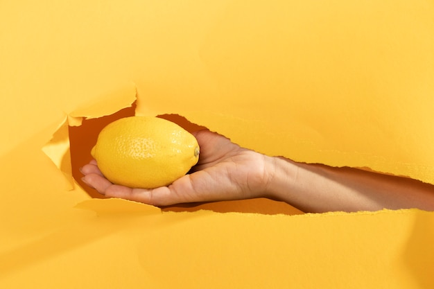 Close-up hand holding raw lemon