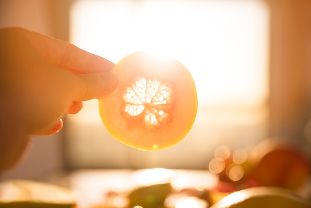 Close-up of hand holding slice of grapefruit against sunlight