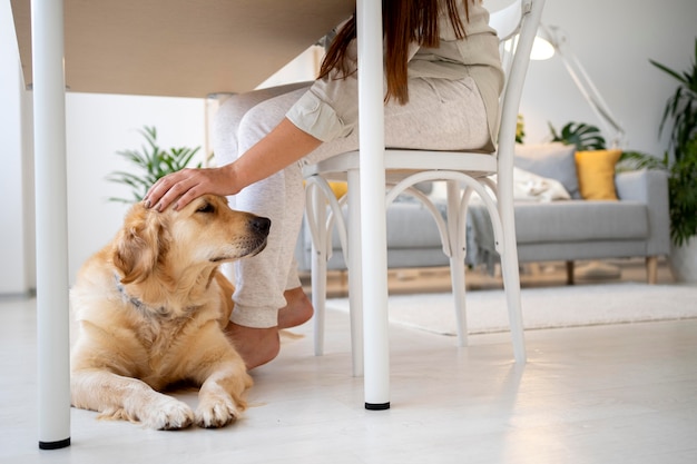 手のふれあい犬をクローズアップ