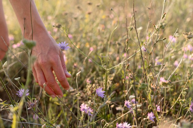Крупным планом рука собирать цветок