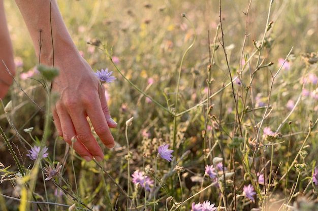 Close-up hand picking flower