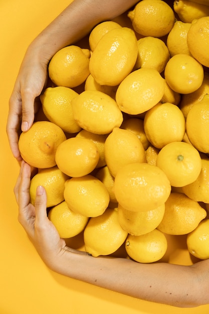 Limoni crudi circostanti della mano del primo piano