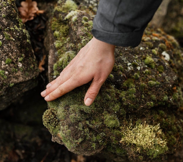 Close up hand touching moss