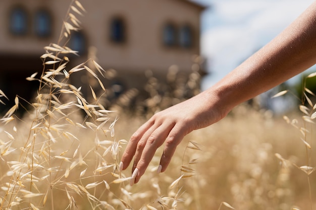 Foto gratuita pianta che tocca la mano ravvicinata