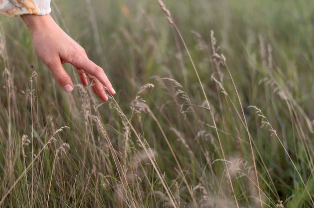 Close-up hand touching plants