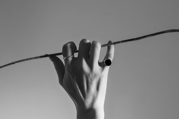 Close up hand with rings holding plant