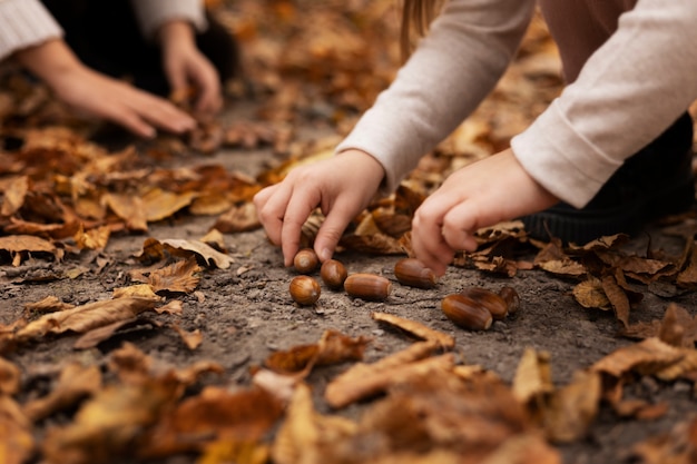 Foto gratuita mani ravvicinate che raccolgono castagne