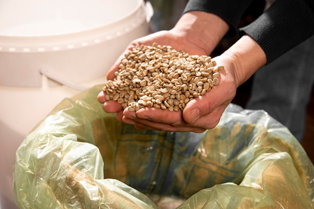 Free photo close-up hands holding beans