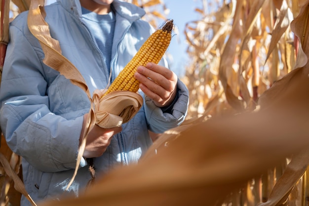 Free photo close up hands holding corn