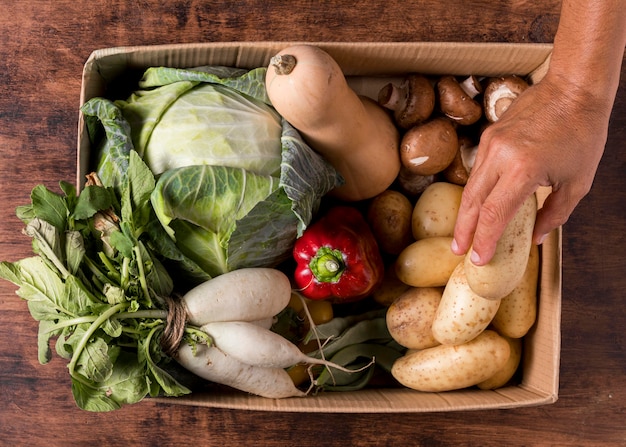 Free photo close-up hands holding fresh potato