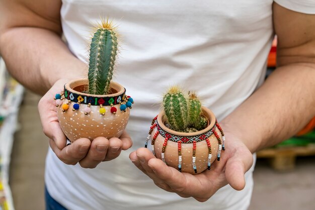 Close-up hands holding house plants