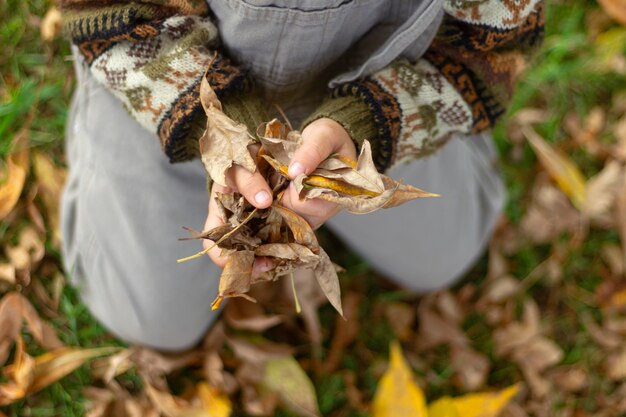 Close up hands holding leaves