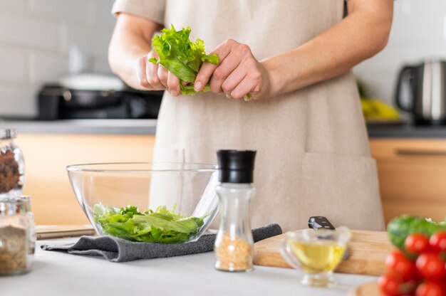 Close up hands holding lettuce