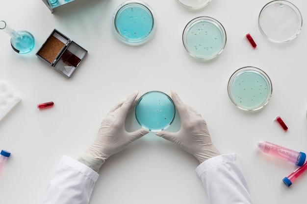 Close up hands holding petri dish