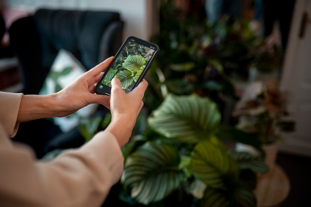 Close up hands holding smartphone