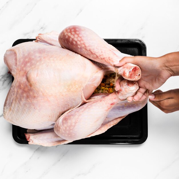 Close-up hands holding turkey's legs