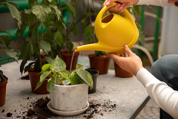 Close up hands holding watering can