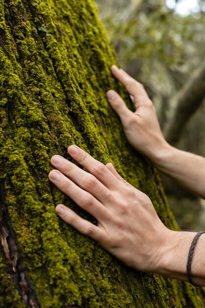 Close up hands touching tree moss