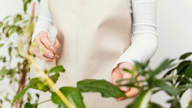 Free photo close-up hands watering plant