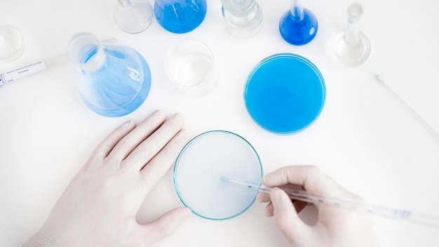 Close-up hands with pipette and petri dish
