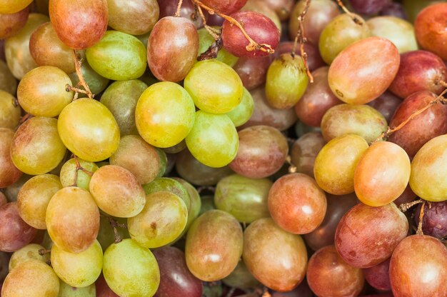 Close-up of harvested fresh grapes