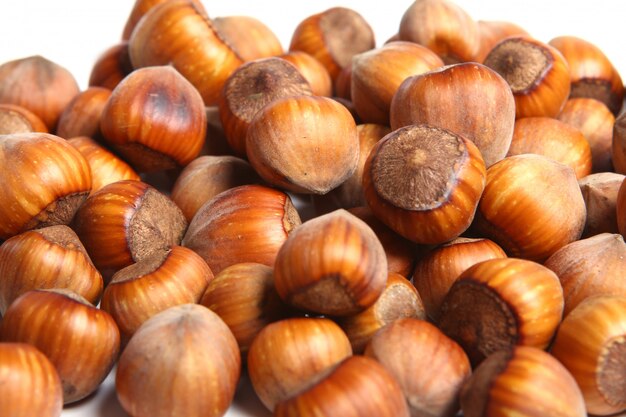 Close up of hazelnuts walnut