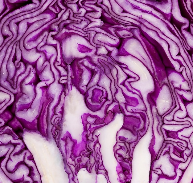 Close-up healthy red cabbage