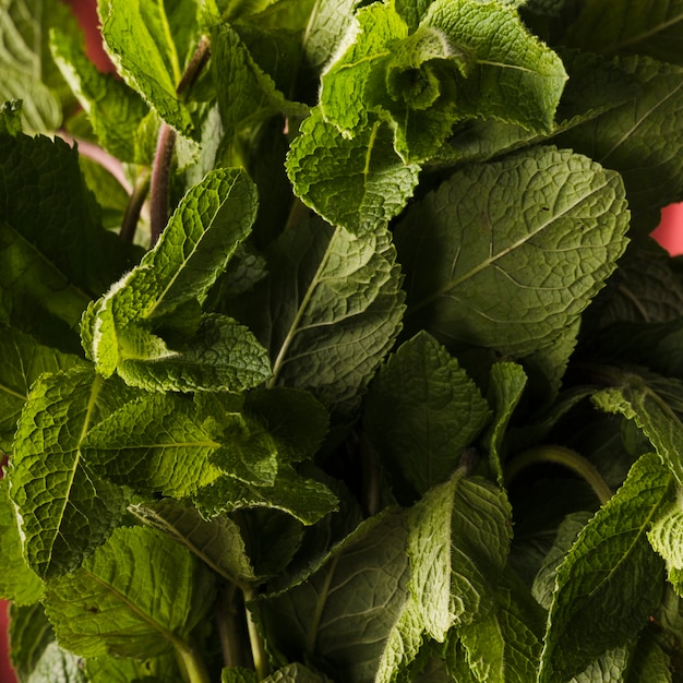 Close up of healthy vegetables