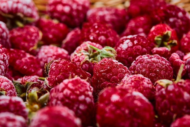 Close up heap of fresh raspberries in wooden basket. 