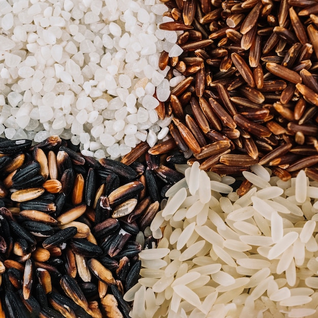 Close-up heaps of assorted rice