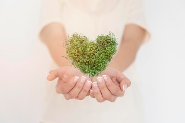 Close up heart made of greenary