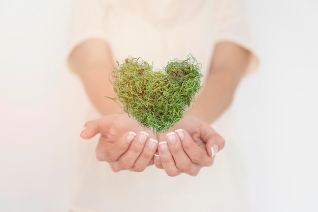 Close up heart made of greenary