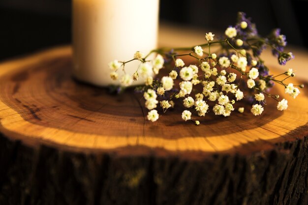 Close-up of herbal flowers near wax candle