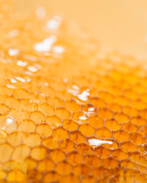 Close up honey comb
