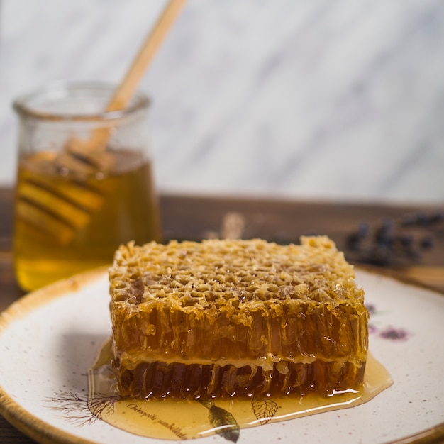 Close-up of honeycomb piece on white plate